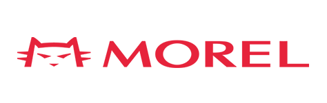 مورل | Morel